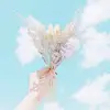 mylephan - @mylephan20 - TikTok