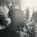 Myles Armstrong - Facebook