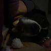 Myles - @mylesbirdd - TikTok