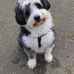Myles Conway - Facebook