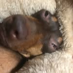 Myles Diaz - @zspeculator - Instagram