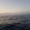Myles_2058 - @myleseppsiii - TikTok