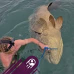 Myles Green - Facebook