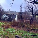 Myles Green - @the_green_myles - Instagram