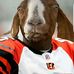 Myles Hester - Facebook
