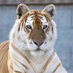 Myles Lang - @mlsplash996 - Instagram