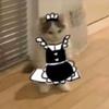 myles_malone - @myles_malone - TikTok
