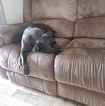 Myles Moses - Facebook