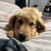 Myles Scott - Facebook