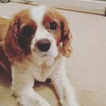 Myles Shaw - @myles854 - Instagram