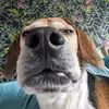 Myles - @myles.stephens - TikTok