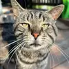 Myles Ward - @myles.ward85 - TikTok