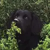 Myles_Wheeler - @myles_wheeler - TikTok