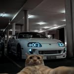 Mynor Escobar - @mynor2705 - Instagram