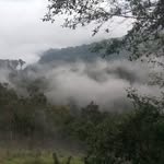Mynor escobar - @mynor940 - Instagram