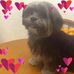 Myra Allison - Facebook
