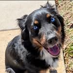 Myra Allison Parrish - @myra_allison2020 - Instagram