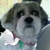 myrabaumaim.com - @myrabaumaim.com - TikTok