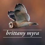 Brittany Myra Jewelry - @shopbrittanymyra - Instagram