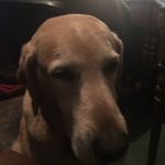 Myra Bryant - @watthehill - Instagram
