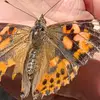 myracannon645 - @myracannon645 - TikTok