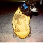 Myra Chavez - @myra_g_chavez - Instagram