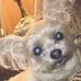 Myra Steward-Childs - Facebook