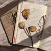 Myra Collier - @a.day.in_the_life - TikTok