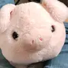 Myra Contreras - @myra.contreras18 - TikTok