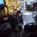 Myra Cook - Facebook