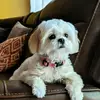 myradavid0503 - @myradavid0503 - TikTok