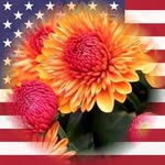 Myra Ashcraft Flowers - @flowers.myra - Instagram