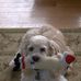 Myra Frank - Facebook
