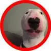 Myra Frank - @myrafrank19695 - TikTok
