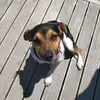 Mira Galloway - @mira.galloway - TikTok