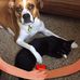 Myra Glover - Facebook