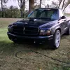 Morp or no car - @miwagoodrich - TikTok