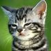 Myra Grove - Facebook