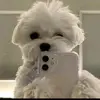 GUTIERREZ - @myra.gutierrez - TikTok