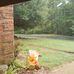Myra Helms - Facebook