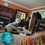 Myra Shelton - @myrashelton20 - Instagram