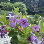 Myra Krugh Horn - Facebook