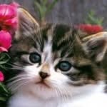 Myra Howell - @myrahowell65555 - Instagram