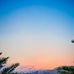 Myra Howell D1 - Facebook