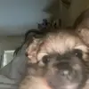 Myra Jackson - @myra.jackson0 - TikTok