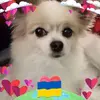 Myra John - @myra.john8 - TikTok