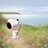 @myraalinkz - @sof_copymobabe - TikTok