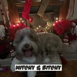 Myra Lowery - @auntm2 - Instagram