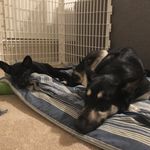 Myra & Luna - @myra_n_luna - Instagram