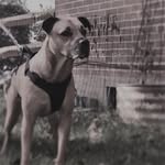 Myra Meyer - @myra71552 - Instagram